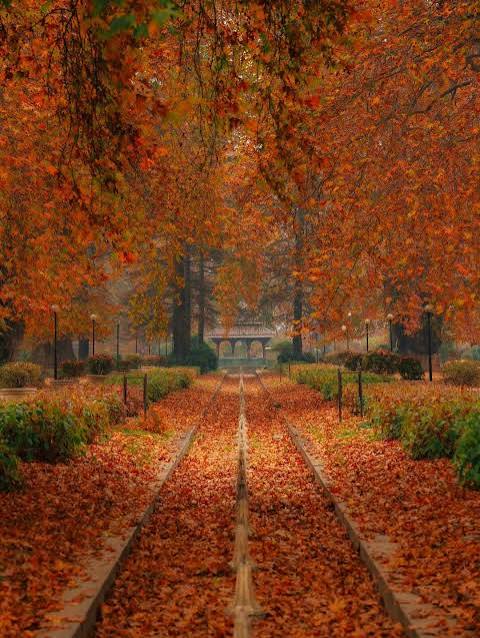 Autumn Kashmir